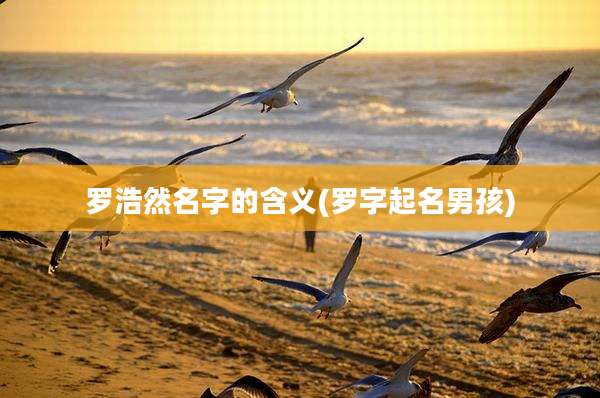 罗浩然名字的含义(罗字起名男孩)