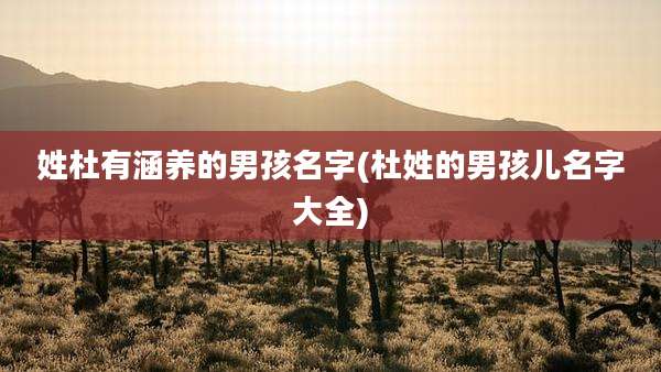 姓杜有涵养的男孩名字(杜姓的男孩儿名字大全)