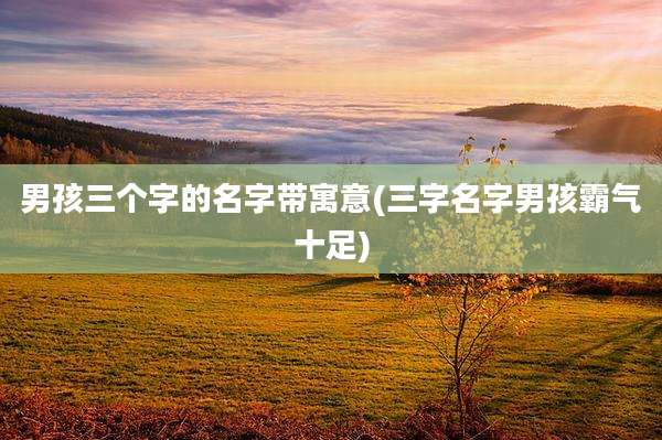 男孩三个字的名字带寓意(三字名字男孩霸气十足)