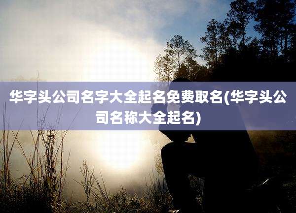 华字头公司名字大全起名免费取名(华字头公司名称大全起名)