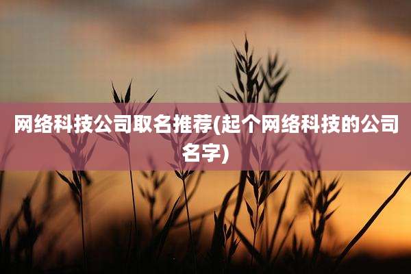 网络科技公司取名推荐(起个网络科技的公司名字)