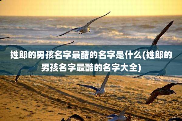 姓郎的男孩名字最酷的名字是什么(姓郎的男孩名字最酷的名字大全)