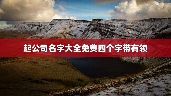 起公司名字大全免费四个字带有领