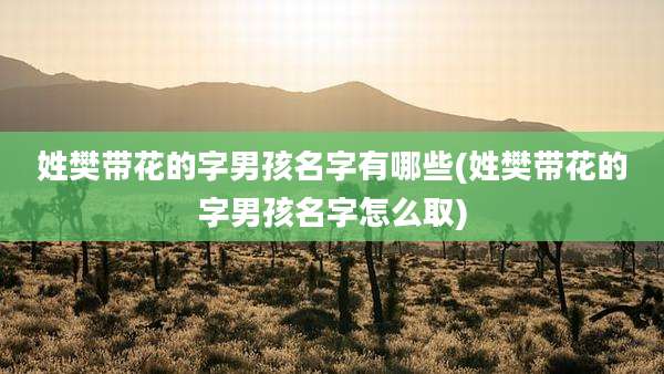 姓樊带花的字男孩名字有哪些(姓樊带花的字男孩名字怎么取)