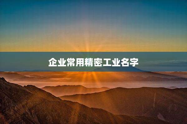 企业常用精密工业名字