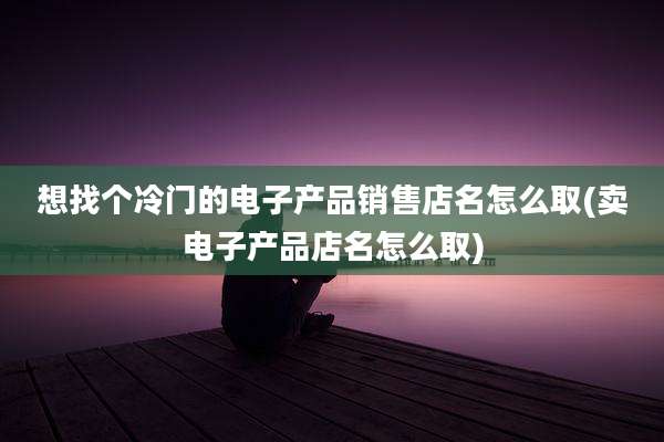 想找个冷门的电子产品销售店名怎么取(卖电子产品店名怎么取)