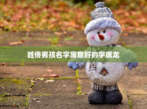 姓佟男孩名字寓意好的字属龙