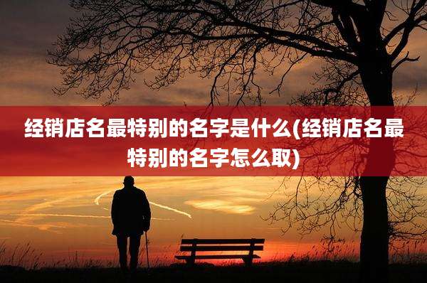 经销店名最特别的名字是什么(经销店名最特别的名字怎么取)