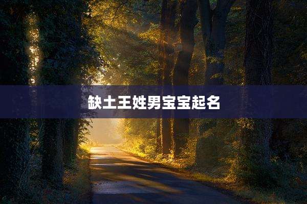 缺土王姓男宝宝起名