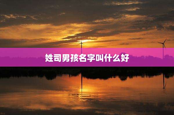 姓司男孩名字叫什么好