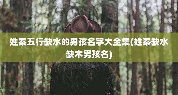 姓秦五行缺水的男孩名字大全集(姓秦缺水缺木男孩名)