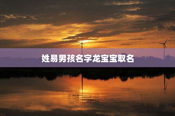 姓易男孩名字龙宝宝取名
