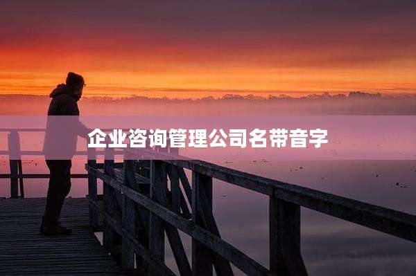 企业咨询管理公司名带音字