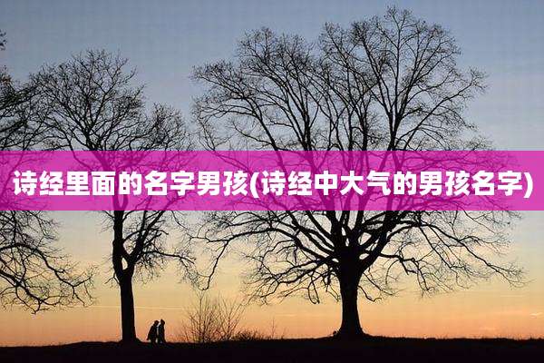 诗经里面的名字男孩(诗经中大气的男孩名字)
