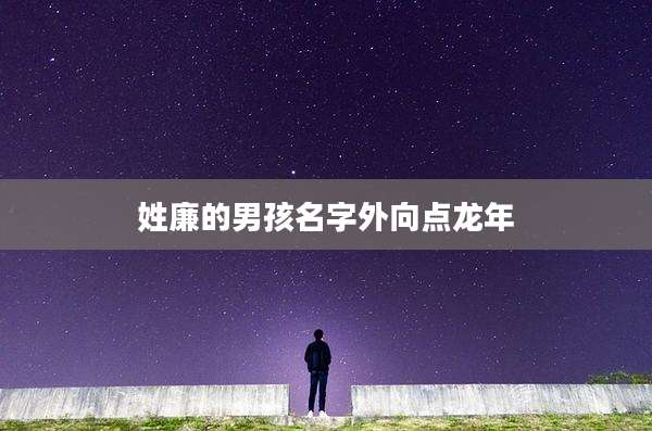 姓廉的男孩名字外向点龙年