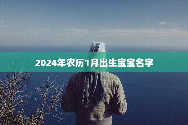 2024年农历1月出生宝宝名字