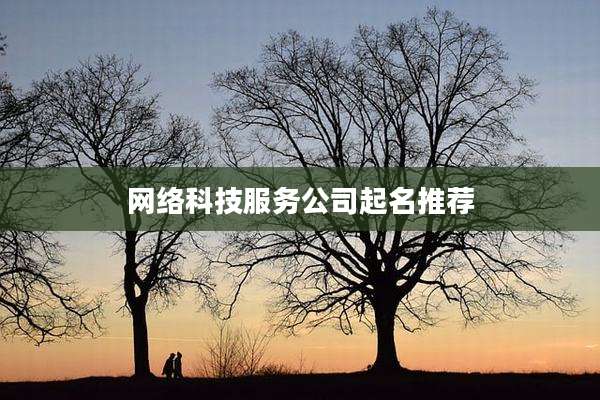 网络科技服务公司起名推荐