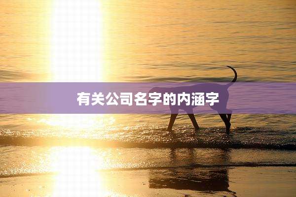 有关公司名字的内涵字