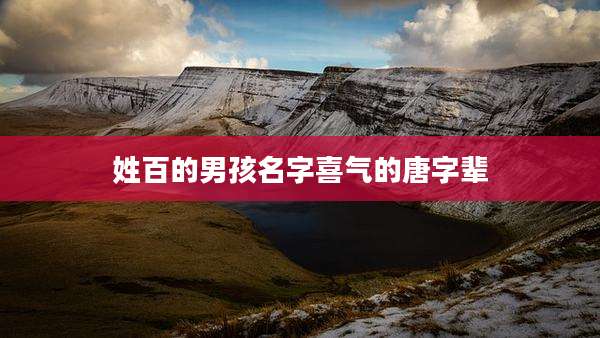 姓百的男孩名字喜气的唐字辈