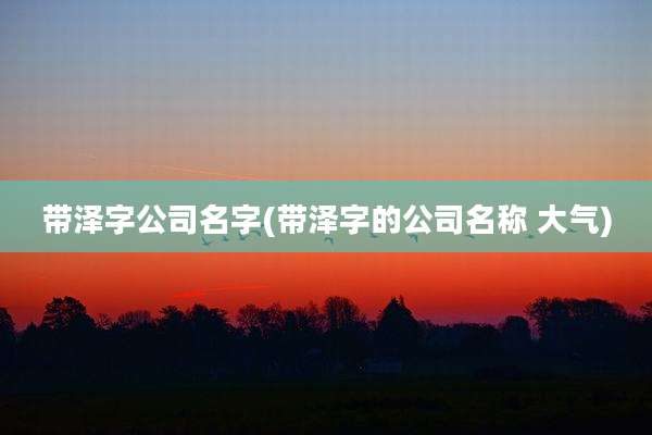 带泽字公司名字(带泽字的公司名称 大气)