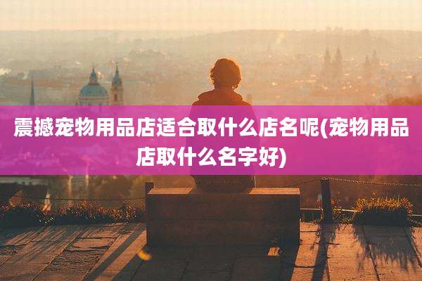 震撼宠物用品店适合取什么店名呢(宠物用品店取什么名字好)