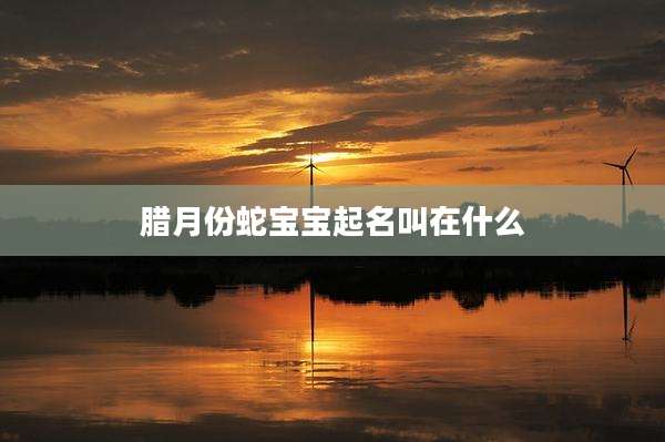腊月份蛇宝宝起名叫在什么