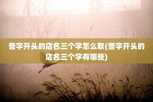 誉字开头的店名三个字怎么取(誉字开头的店名三个字有哪些)