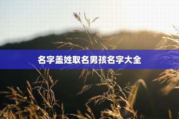 名字盖姓取名男孩名字大全