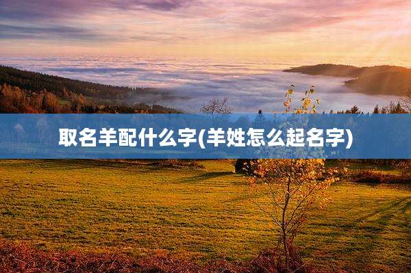 取名羊配什么字(羊姓怎么起名字)