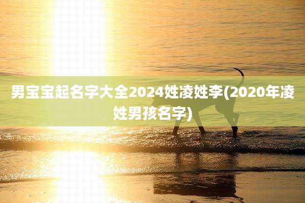男宝宝起名字大全2024姓凌姓李(2020年凌姓男孩名字)