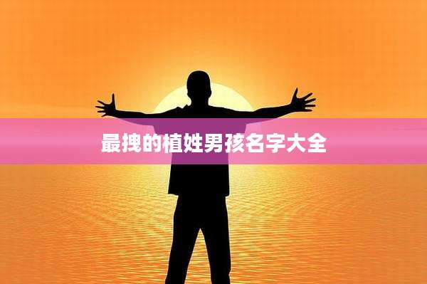 最拽的植姓男孩名字大全