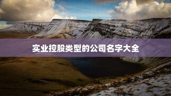 实业控股类型的公司名字大全