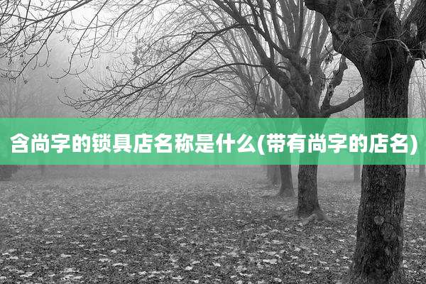含尚字的锁具店名称是什么(带有尚字的店名)