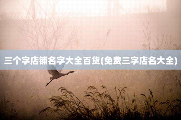 三个字店铺名字大全百货(免费三字店名大全)