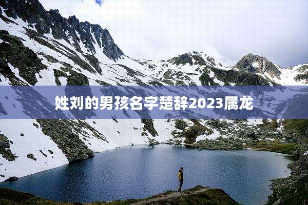 姓刘的男孩名字楚辞2023属龙