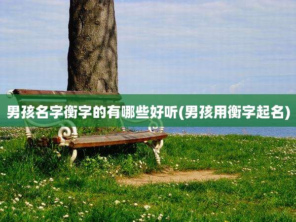 男孩名字衡字的有哪些好听(男孩用衡字起名)