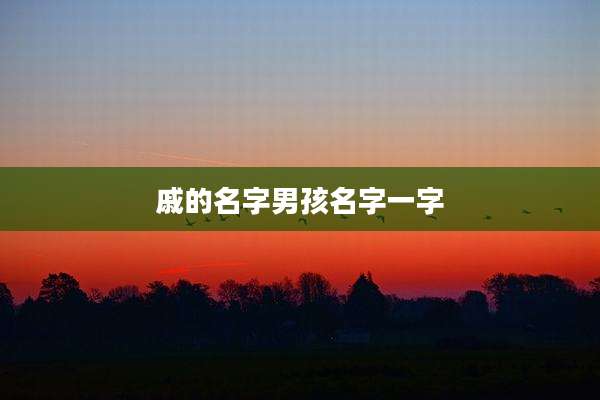戚的名字男孩名字一字