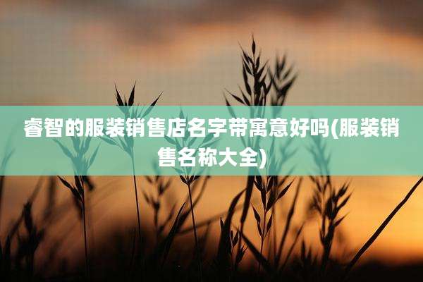 睿智的服装销售店名字带寓意好吗(服装销售名称大全)