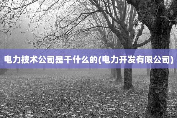电力技术公司是干什么的(电力开发有限公司)