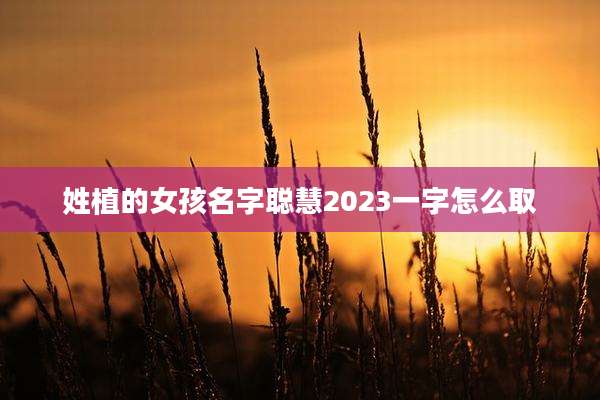 姓植的女孩名字聪慧2023一字怎么取