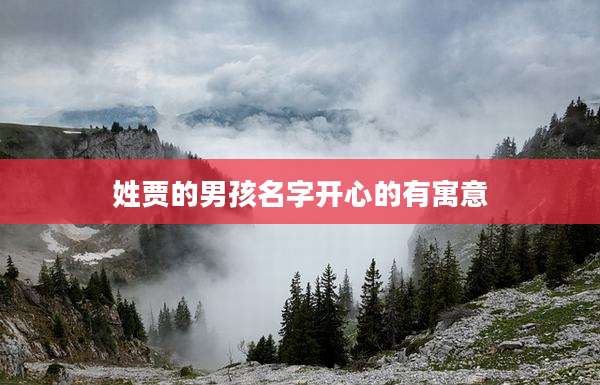 姓贾的男孩名字开心的有寓意
