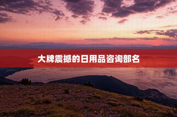 大牌震撼的日用品咨询部名