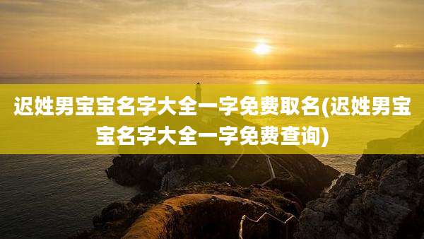 迟姓男宝宝名字大全一字免费取名(迟姓男宝宝名字大全一字免费查询)