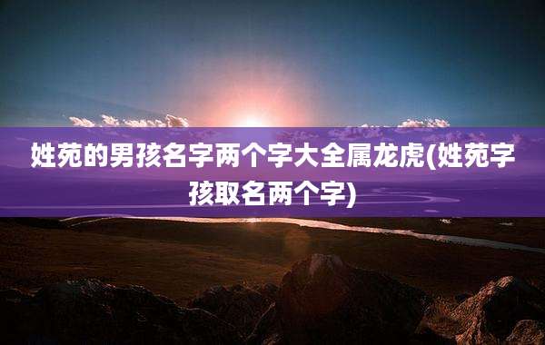 姓苑的男孩名字两个字大全属龙虎(姓苑字孩取名两个字)