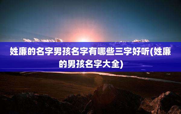 姓廉的名字男孩名字有哪些三字好听(姓廉的男孩名字大全)