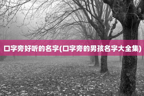 口字旁好听的名字(口字旁的男孩名字大全集)