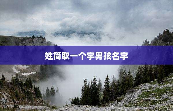 姓简取一个字男孩名字