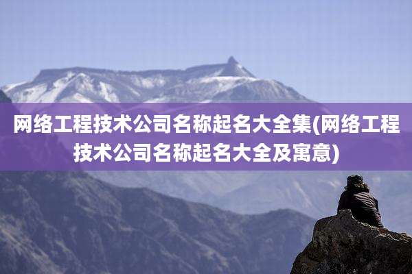 网络工程技术公司名称起名大全集(网络工程技术公司名称起名大全及寓意)