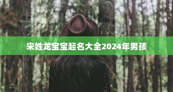 宋姓龙宝宝起名大全2024年男孩