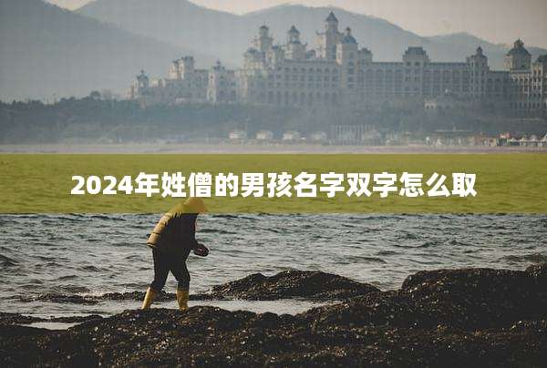 2024年姓僧的男孩名字双字怎么取